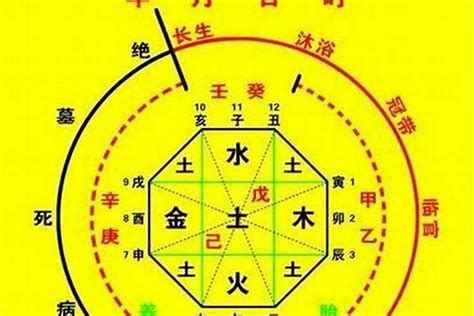 喜木火|八字喜木火的建议